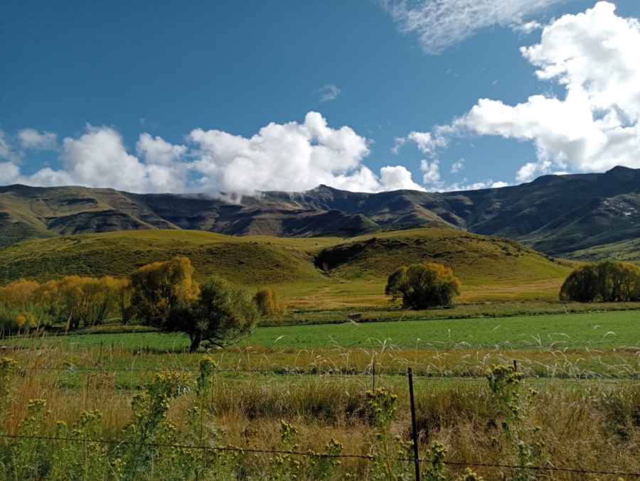 0 Bedroom Property for Sale in Barkly East Rural Eastern Cape